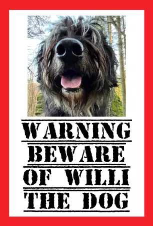 Hunde Vorsicht Warnschild Zutritt verboten Hunde BEWARE OF WILLI Bild