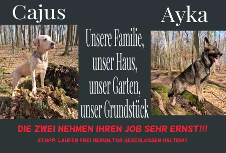 Hunde Vorsicht Warnschild Zutritt verboten Hunde Cajus & Ayka Bild