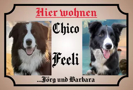 Hunde Vorsicht Warnschild Zutritt verboten Hunde Chico & Feeli Bild