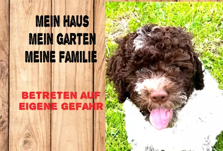Hunde Vorsicht Warnschild Zutritt verboten Hunde Mein Haus.. Bild