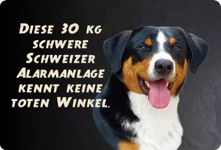Hunde Vorsicht Warnschild Zutritt verboten Hunde Schweizer Alarmanlage Bild