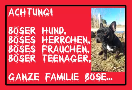 Hunde Vorsicht Warnschild Zutritt verbotenHunde Achtung! Böser Hund, böses Herrchen... Bild