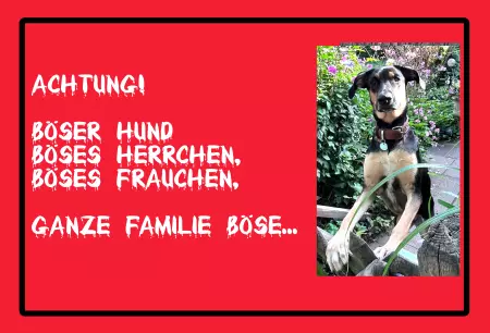Hunde Vorsicht Warnschild Zutritt verbotenHunde Achtung! Böser Hund, Böses Herrchen, Böses... Bild