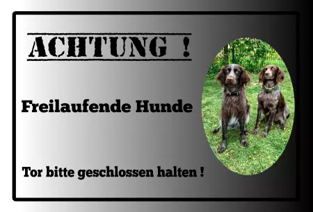 Hunde Vorsicht Warnschild Zutritt verboten Hunde Achtung! Freilaufende Hunde Bild