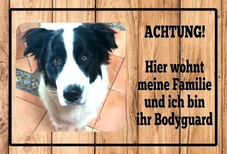 Hunde Vorsicht Warnschild Zutritt verbotenHunde Achtung! Hier wohnt meine Familie Bild