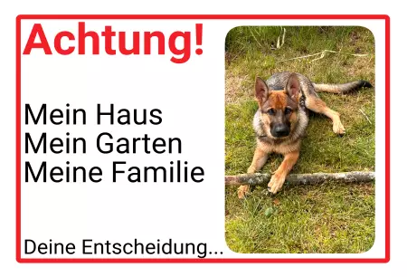 Hunde Vorsicht Warnschild Zutritt verboten Hunde ACHTUNG - Mein Haus, deine Entscheidung Bild