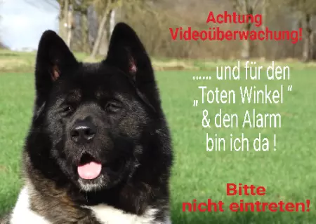Hunde Vorsicht Warnschild Zutritt verboten Hunde Achtung Videoüberwachung Bild