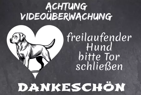 Hunde Vorsicht Warnschild Zutritt verbotenHunde Achtung Videoüberwachung - freilaufender Hund Bild