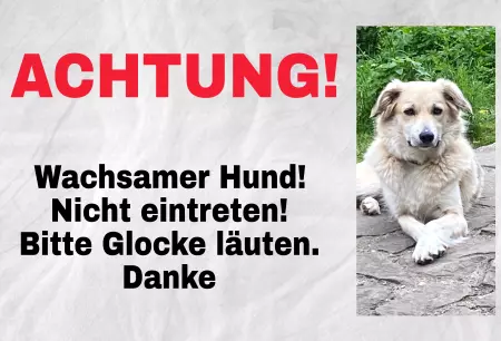 Hunde Vorsicht Warnschild Zutritt verboten Hunde ACHTUNG! Wachsamer Hund Bild