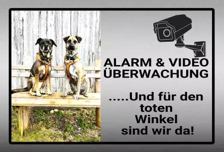 Hunde Vorsicht Warnschild Zutritt verbotenHunde Alarm und Videoüberwachung Bild
