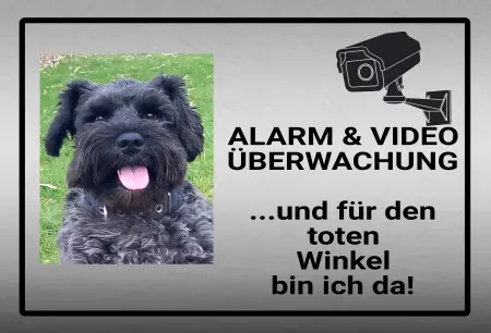 Hunde Vorsicht Warnschild Zutritt verbotenHunde Alarm & Video Überwachung Bild
