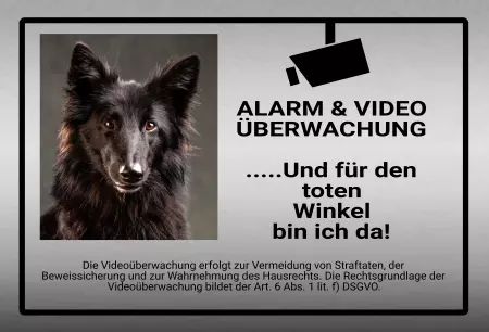 Hunde Vorsicht Warnschild Zutritt verbotenHunde ALARM & VIDEO ÜBERWACHUNG Bild