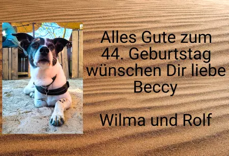 Hunde Vorsicht Warnschild Zutritt verbotenHunde Alles Gute zum 44 Geburtstag. Bild
