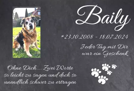 Hunde Vorsicht Warnschild Zutritt verboten Hunde Baily Bild