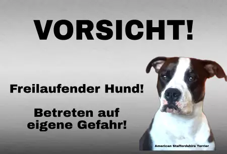 Hunde Vorsicht Warnschild Zutritt verboten Hunde Betreten auf eigene Gefahr! Bild