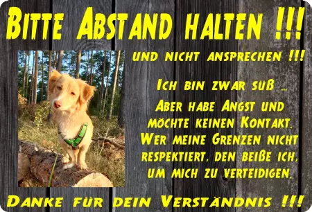 Hunde Vorsicht Warnschild Zutritt verboten Hunde BITTE ABSTAND HALTEN !!! Bild