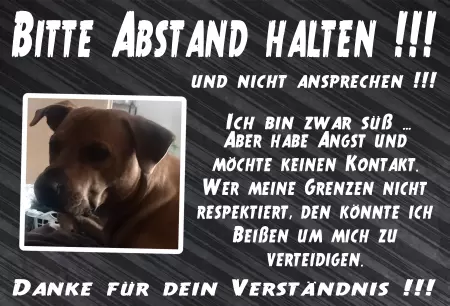 Hunde Vorsicht Warnschild Zutritt verbotenHunde Bitte Abstand halten!!! Bild