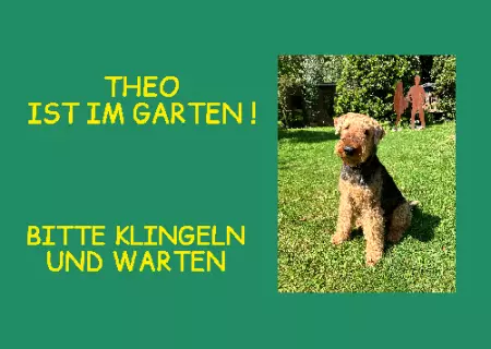 Hunde Vorsicht Warnschild Zutritt verboten Hunde Bitte klingeln und warten Bild