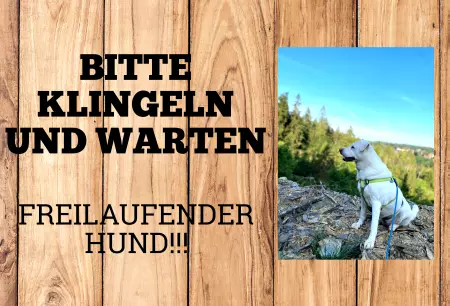 Hunde Vorsicht Warnschild Zutritt verbotenHunde Bitte klingeln und warten. Freilaufender Hund!!!! Bild