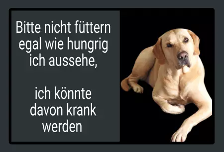 Hunde Vorsicht Warnschild Zutritt verbotenHunde Bitte nicht füttern! Bild