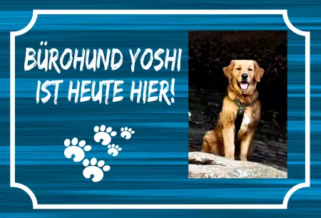 Hunde Vorsicht Warnschild Zutritt verboten Hunde Bürohund Yoshi ist heute hier! Bild