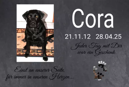 Hunde Vorsicht Warnschild Zutritt verbotenHunde Cora Bild