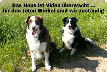 Hunde Vorsicht Warnschild Zutritt verboten Hunde Das Haus ist Video überwacht Bild