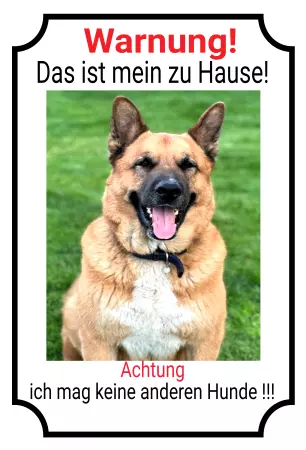 Hunde Vorsicht Warnschild Zutritt verboten Hunde Das ist mein Zuhause Bild