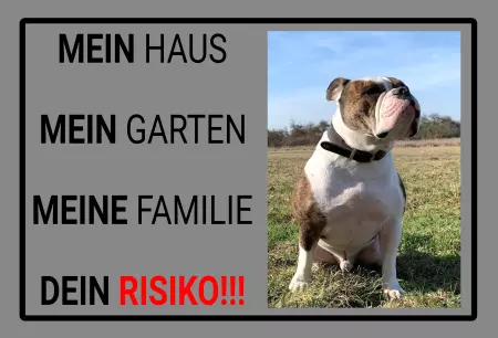 Hunde Vorsicht Warnschild Zutritt verboten Hunde DEIN RISIKO!!! Bild