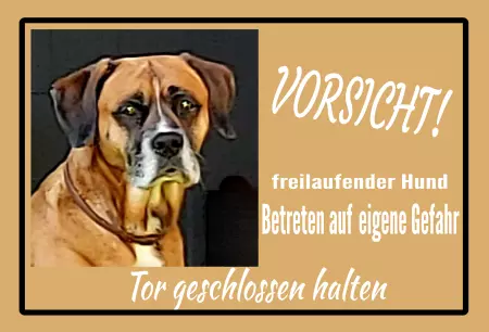 Hunde Vorsicht Warnschild Zutritt verboten Hunde Freilaufender Hund Bild