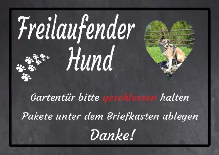 Hunde Vorsicht Warnschild Zutritt verboten Hunde Freilaufender Hund Bild