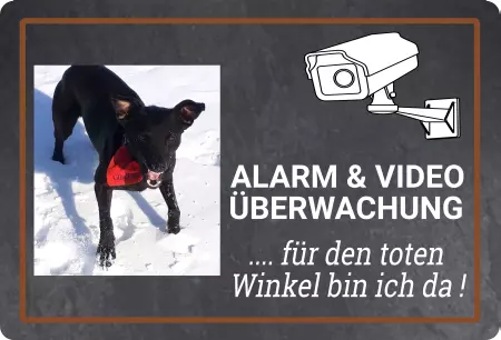 Hunde Vorsicht Warnschild Zutritt verboten Hunde .. für den toten Winkel ... Bild