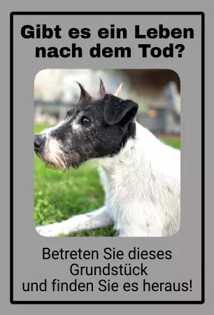 Hunde Vorsicht Warnschild Zutritt verbotenHunde Gibt es ein Leben nach dem Tod? Bild