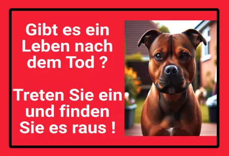 Hunde Vorsicht Warnschild Zutritt verbotenHunde Gibt es ein Leben nach dem Tod? Bild