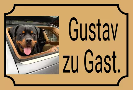 Hunde Vorsicht Warnschild Zutritt verbotenHunde Gustav zu Gast. Bild