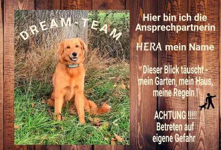 Hunde Vorsicht Warnschild Zutritt verbotenHunde Hier bin ich die Ansprechpartnerin Bild