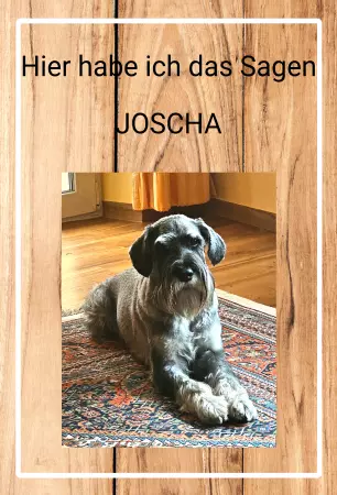 Hunde Vorsicht Warnschild Zutritt verbotenHunde Hier habe ich das Sagem JOSCHA Bild