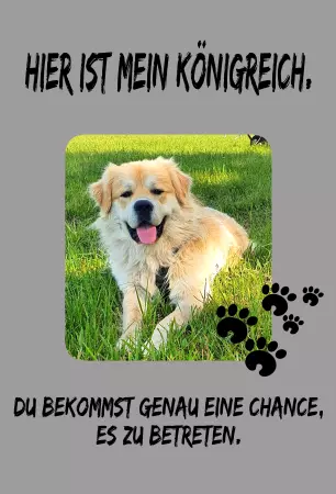 Hunde Vorsicht Warnschild Zutritt verbotenHunde Hier ist mein Königreich Bild
