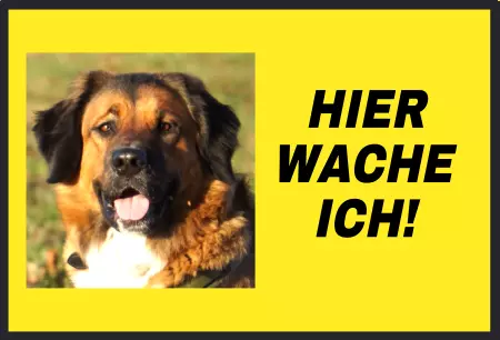 Hunde Vorsicht Warnschild Zutritt verboten Hunde Hier wache ich! Bild
