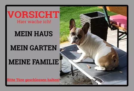 Hunde Vorsicht Warnschild Zutritt verbotenHunde Hier wache ich! Bild