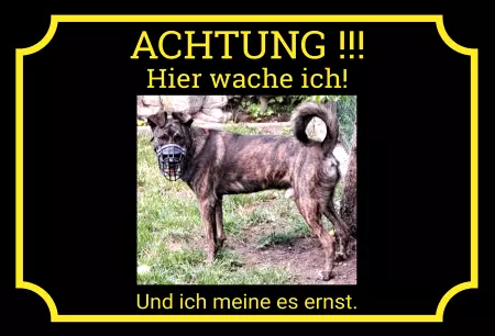 Hunde Vorsicht Warnschild Zutritt verbotenHunde Hier wache ich! Bild