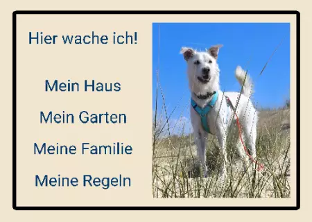 Hunde Vorsicht Warnschild Zutritt verbotenHunde Hier wache ich! Bild