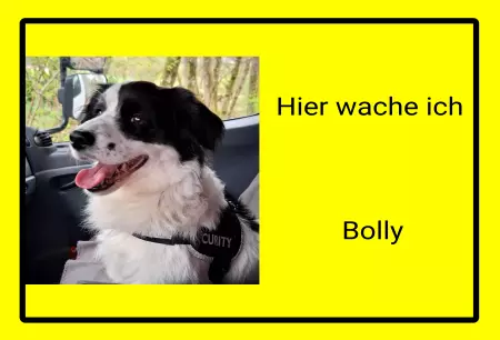 Hunde Vorsicht Warnschild Zutritt verbotenHunde Hier wache ich Bolly Bild