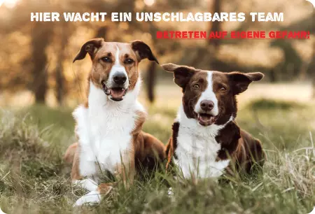 Hunde Vorsicht Warnschild Zutritt verbotenHunde Hier wacht ein unschlagbares Team Bild