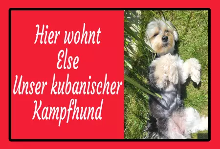 Hunde Vorsicht Warnschild Zutritt verbotenHunde Hier wohnt Else Unser kubanischer Kampfhund Bild