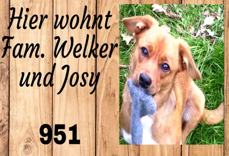Hunde Vorsicht Warnschild Zutritt verbotenHunde Hier wohnt Josy Bild