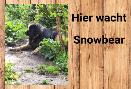 Hunde Vorsicht Warnschild Zutritt verbotenHunde Hier wohnt Snowbear Bild