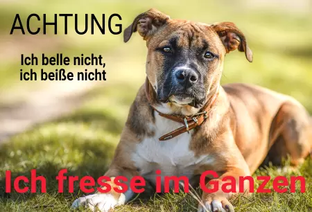 Hunde Vorsicht Warnschild Zutritt verbotenHunde Ich belle nicht, ich beiße nicht, ich ... Bild