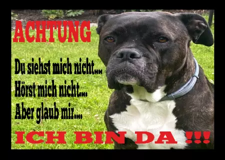 Hunde Vorsicht Warnschild Zutritt verboten Hunde ICH BIN DA !!!!! Bild