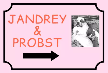 Hunde Vorsicht Warnschild Zutritt verbotenHunde Jandrey & Probst Bild